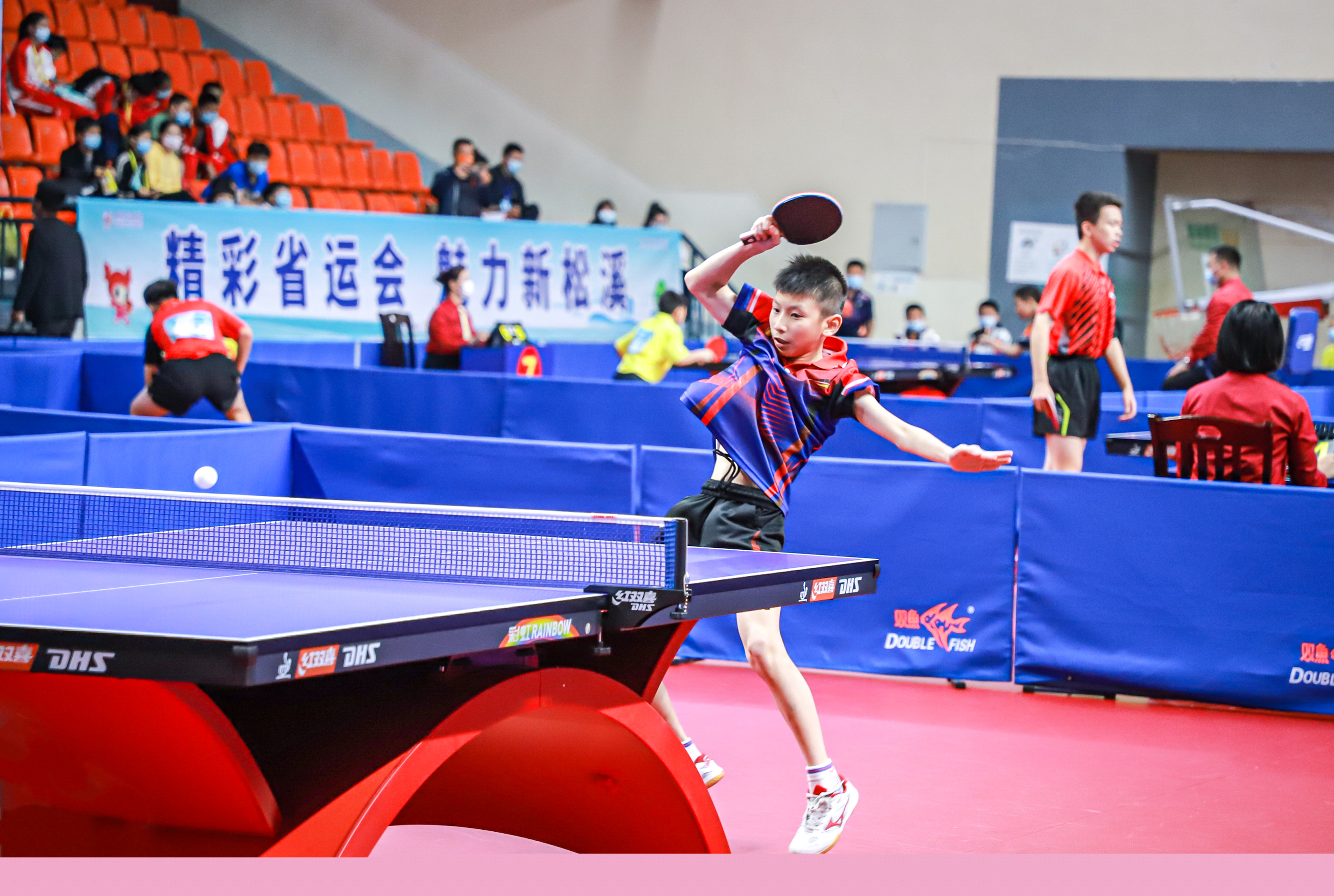 播或不播 播或不播